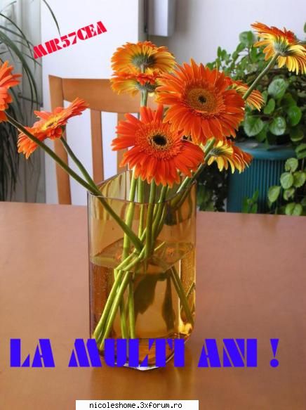 o femeie sotie si o mama perfecta si o prietena adevarata hai salut!