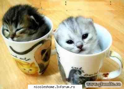 si eu doresc cafeaaaaa !!!!!!!!! hai salut!